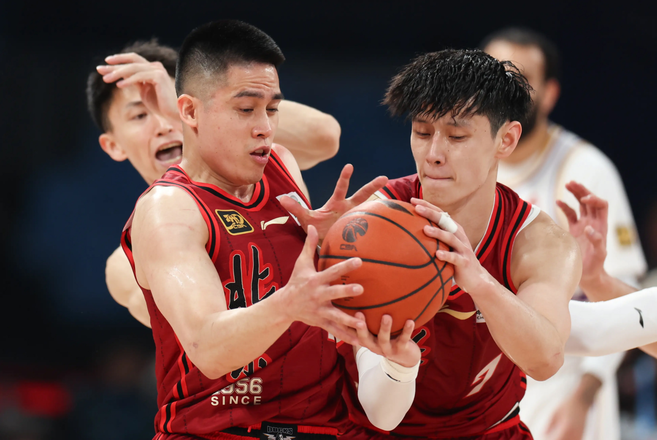 集结日突围战来临，深圳男篮围绕荷甲外线爆发，更衣室稳定，身体对抗强度拉满(上海男篮新主场)